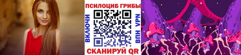Галлюциногенные грибы мухоморы сайты даркнета как зайти Сосновка наркотики OMG зеркало